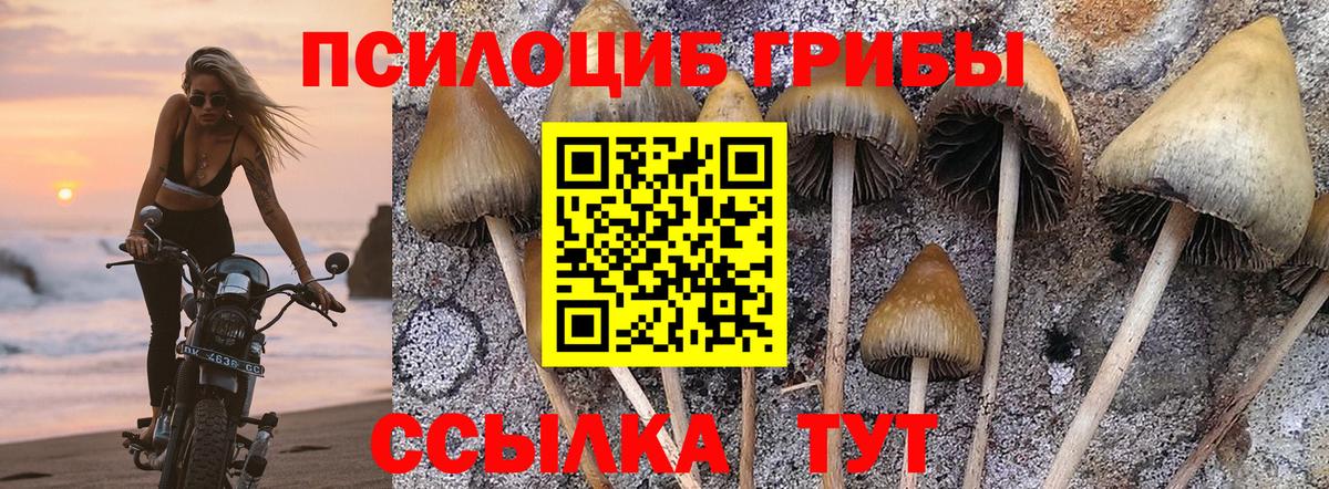 купить закладку  Галлюциногенные грибы Psilocybe  Вход с VPN  Галлюциногенные грибы мицелий  Истра 
